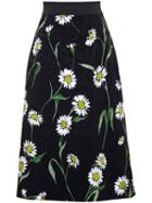 Dolce & Gabbana Daisy Print Jacquard Midi Skirt