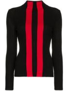 Rudi Gernreich Striped Cotton Turtleneck Sweater - Black