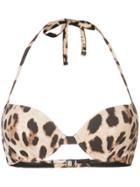 Dolce & Gabbana Leopard Print Bikini Top - Brown