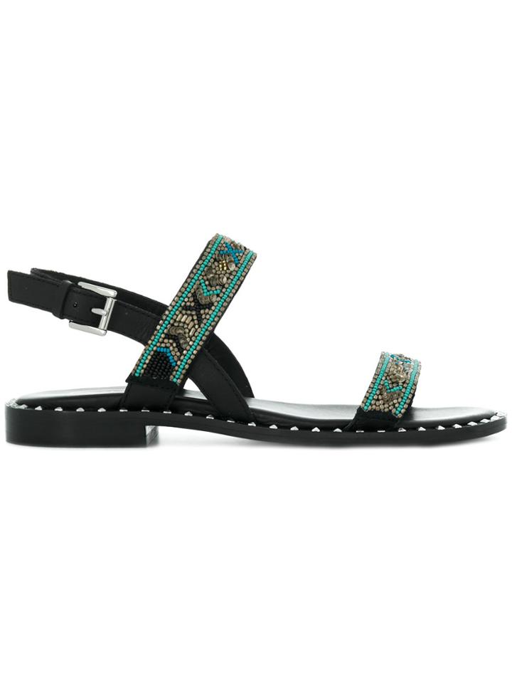 Ash Papaya Sandals - Black