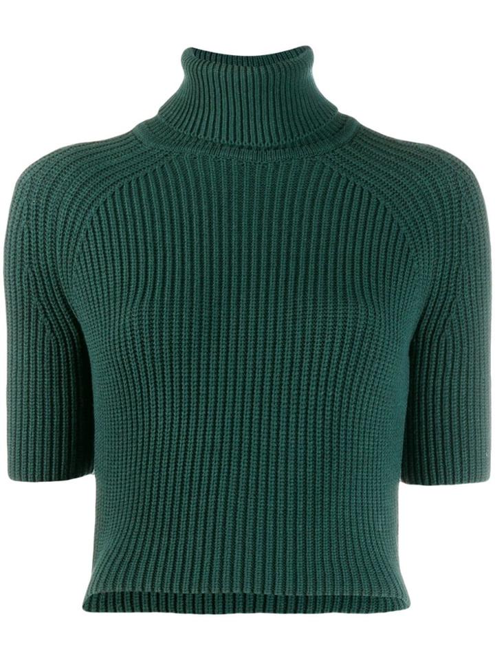Elisabetta Franchi Roll Neck Knitted Top - Green