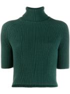 Elisabetta Franchi Roll Neck Knitted Top - Green