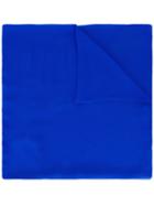 Alberta Ferretti Silk Scarf, Women's, Blue, Silk