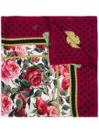 Dolce & Gabbana - Rose (pink) Print Scarf - Women - Silk - One Size, Women's, Silk