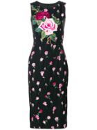 Dolce & Gabbana Rose Print And Appliqué Dress - Black