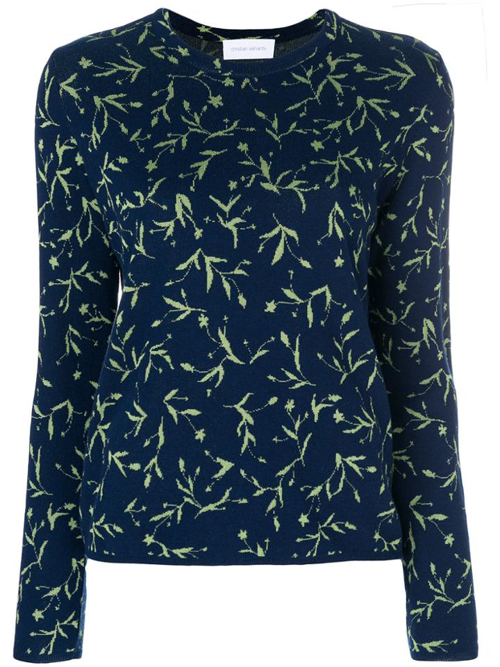 Christian Wijnants Kadin Jumper - Blue