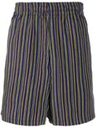 Paura Striped Shorts - Blue