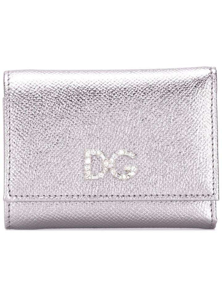 Dolce & Gabbana Crystal Dg Wallet - Silver