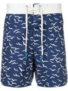 The Upside Seagull Shorts - Blue