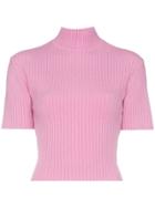 Staud Claudia Knitted Turtle Neck Top - Pink & Purple