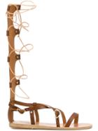 Ancient Greek Sandals 'sophia' High Sandals