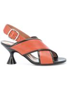 Marni Criss-cross Sandals - Brown