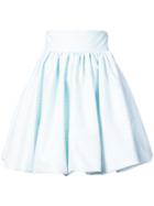 Petersyn Flared Mini Skirt - Blue