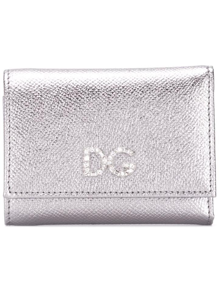 Dolce & Gabbana Crystal Dg Logo Wallet - Silver