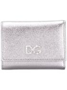 Dolce & Gabbana Crystal Dg Logo Wallet - Silver