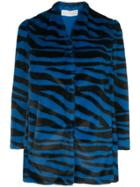 Michelle Mason Zebra Print Jacket - Blue