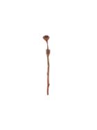 Alan Crocetti Rosetta Earring - Gold