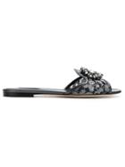 Dolce & Gabbana Bianca Flat Sandals - Black
