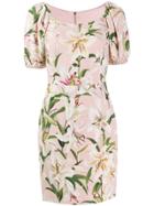 Dolce & Gabbana Lily Print Dress - Pink