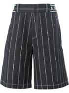 Andrea Crews Striped Shorts - Blue