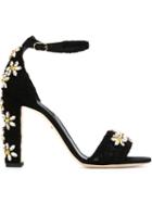 Dolce & Gabbana Daisy Embellished Sandals