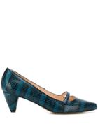 Lenora Striped Pointed Pumps - Blue
