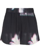 Double Rainbouu Palm Tree Print Shorts - Black
