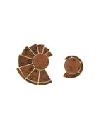 Monica Sordo Nautilus Earfan Asymmetric Earrings - Brown