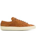 Saint Laurent Classic Court Sneakers - Brown