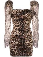 Dolce & Gabbana Leopard Print Puff Shoulder Dress - Brown