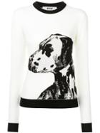 Msgm - Knit Dog Top - Women - Virgin Wool - Xs, White, Virgin Wool