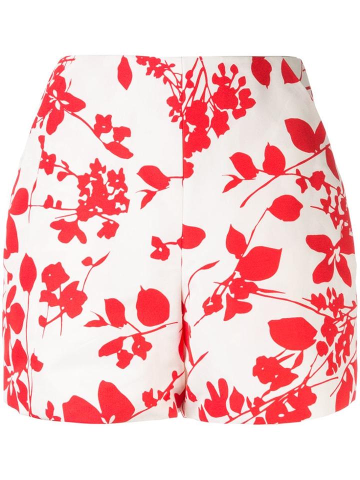 Bambah Seville Shorts - White