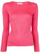 Emilio Pucci Ribbed Knit Top - Pink