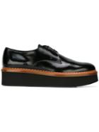 Tod's Platform Derbies