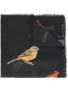 Stella Mccartney Birds Scarf, Black, Silk/modal
