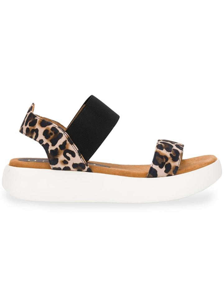 Unisa Bridni Leopard Sandals - Black