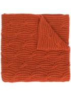 Gentry Portofino Chunky Knit Scarf - Orange