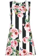 Dolce & Gabbana Stripe Rose Printed Dress - Multicolour