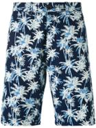 Edwin Palm Tree Print Shorts - Blue