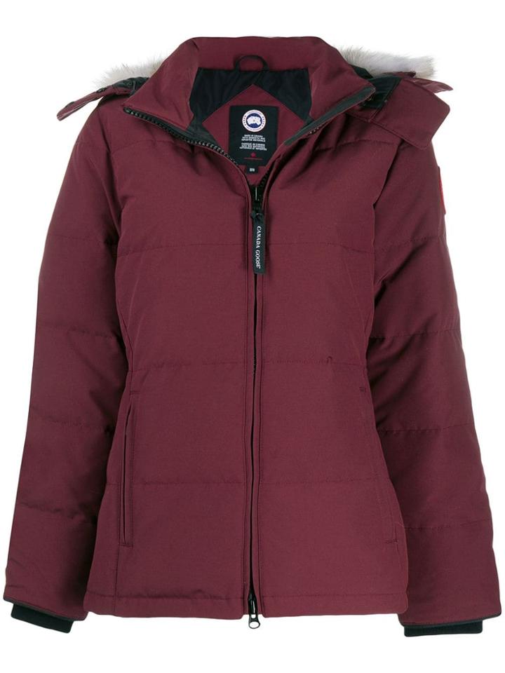 Canada Goose Chelsea Parka - Purple