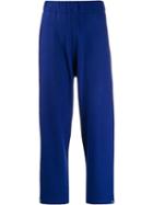 Barena Roy Trousers - Blue