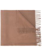 A.p.c. Classic Fringed Scarf - Brown