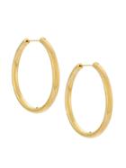 Serpui Gold Plated Hoop Earrings