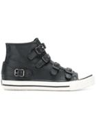 Ash Classic Buckled Sneakers - Black