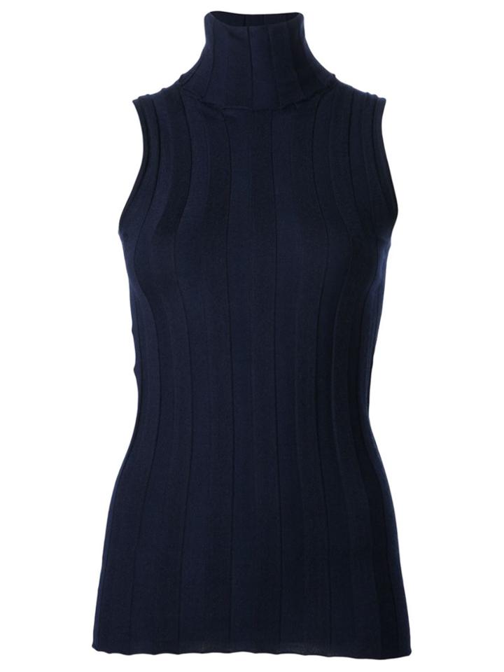 Derek Lam Ribbed Sleeveless Turtleneck - Blue