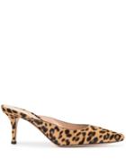 Gianvito Rossi Leopard-print Mules - Brown