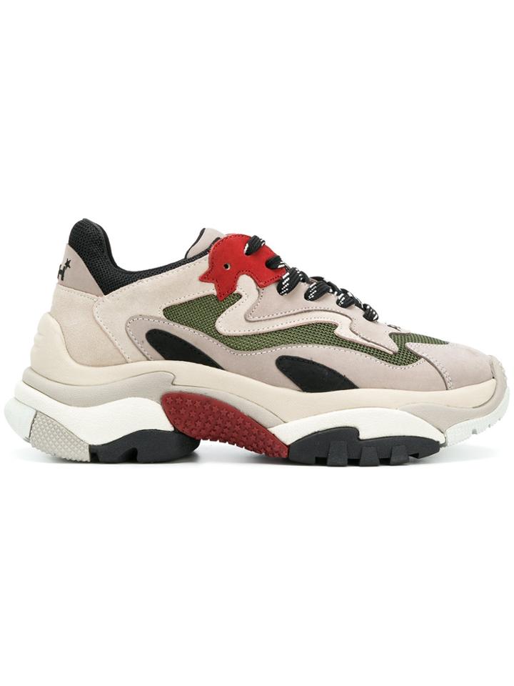 Ash Chunky Sneakers - Grey