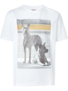 Palm Angels Dog Photo Print T-shirt, Men's, Size: Xl, White, Cotton