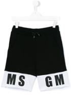 Msgm Kids - Logo Hem Track Shorts - Kids - Cotton - 14 Yrs, Black