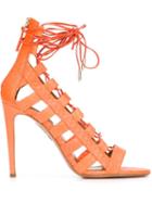 Aquazzura Amazon Sandals, Women's, Size: 37, Yellow/orange, Python Skin